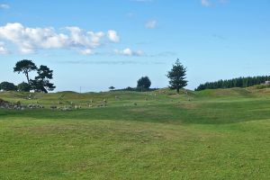 Waverley 12th Sheep Fairway